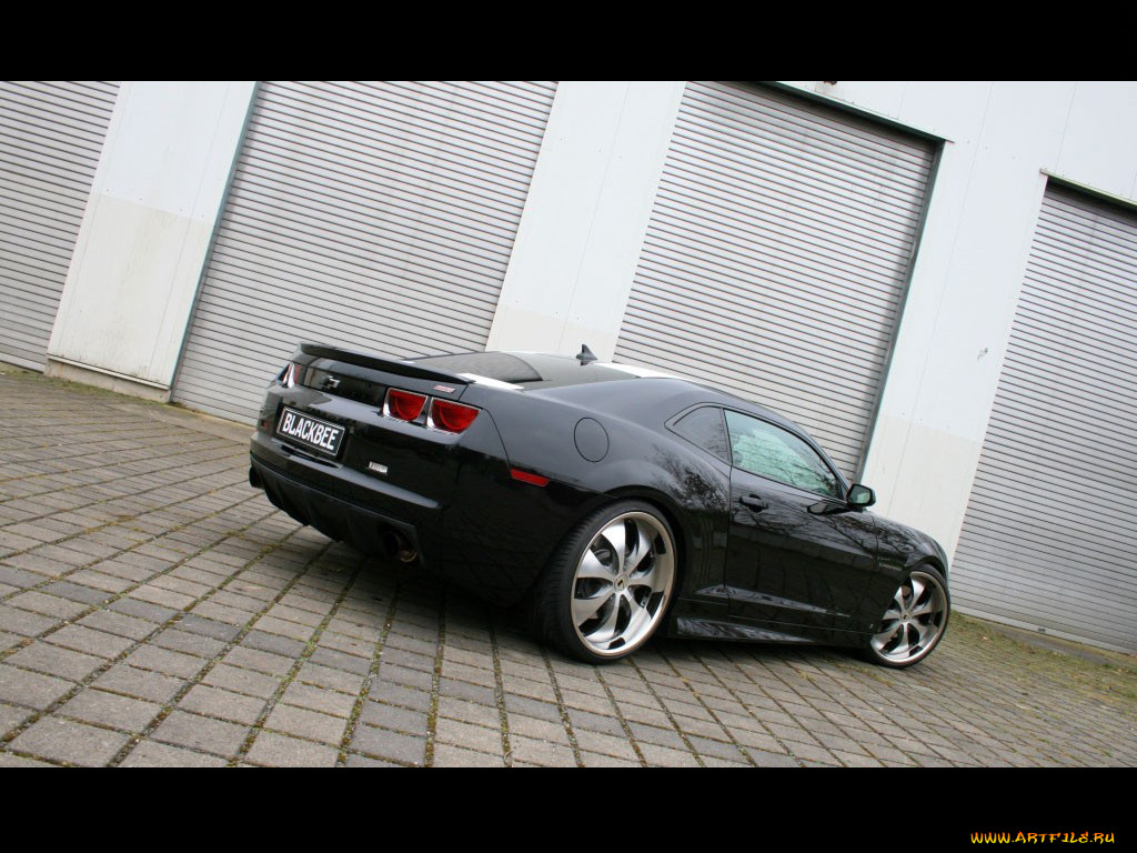 , camaro